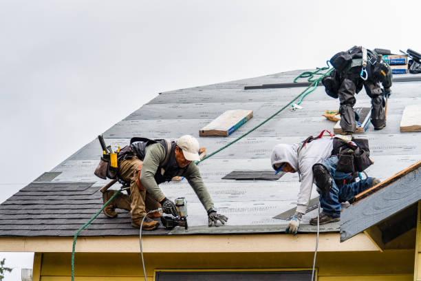 Professional Gutter Installation technician working in Alvin, TX